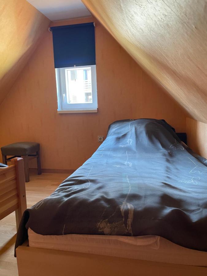 Ferienhaus Bockswiese جوسلار المظهر الخارجي الصورة